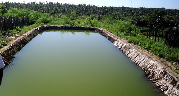 Engenharia aplicada à aquicultura