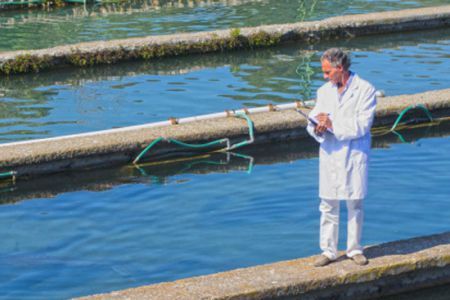 Estágio Supervisionado em Engenharia de Pesca